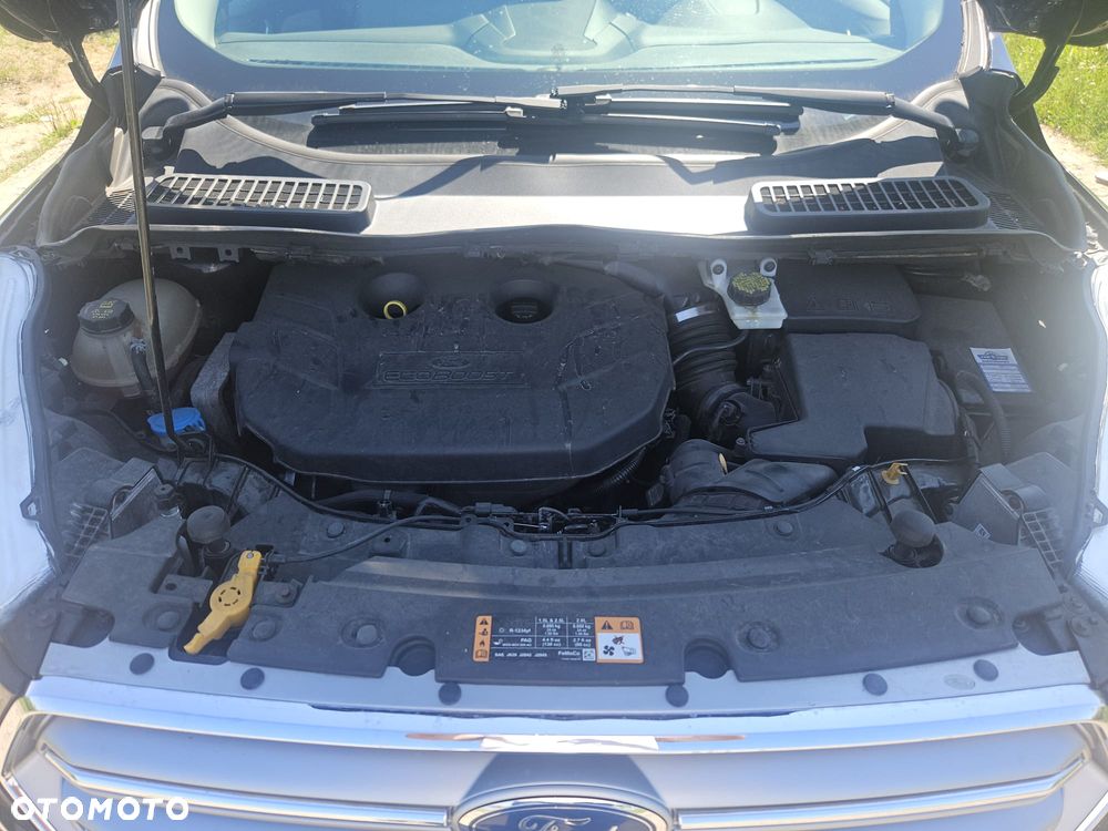 Ford Escape - 20