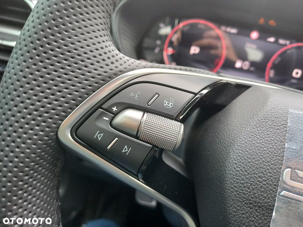 Skoda Fabia 1.0 TSI Monte Carlo DSG - 18