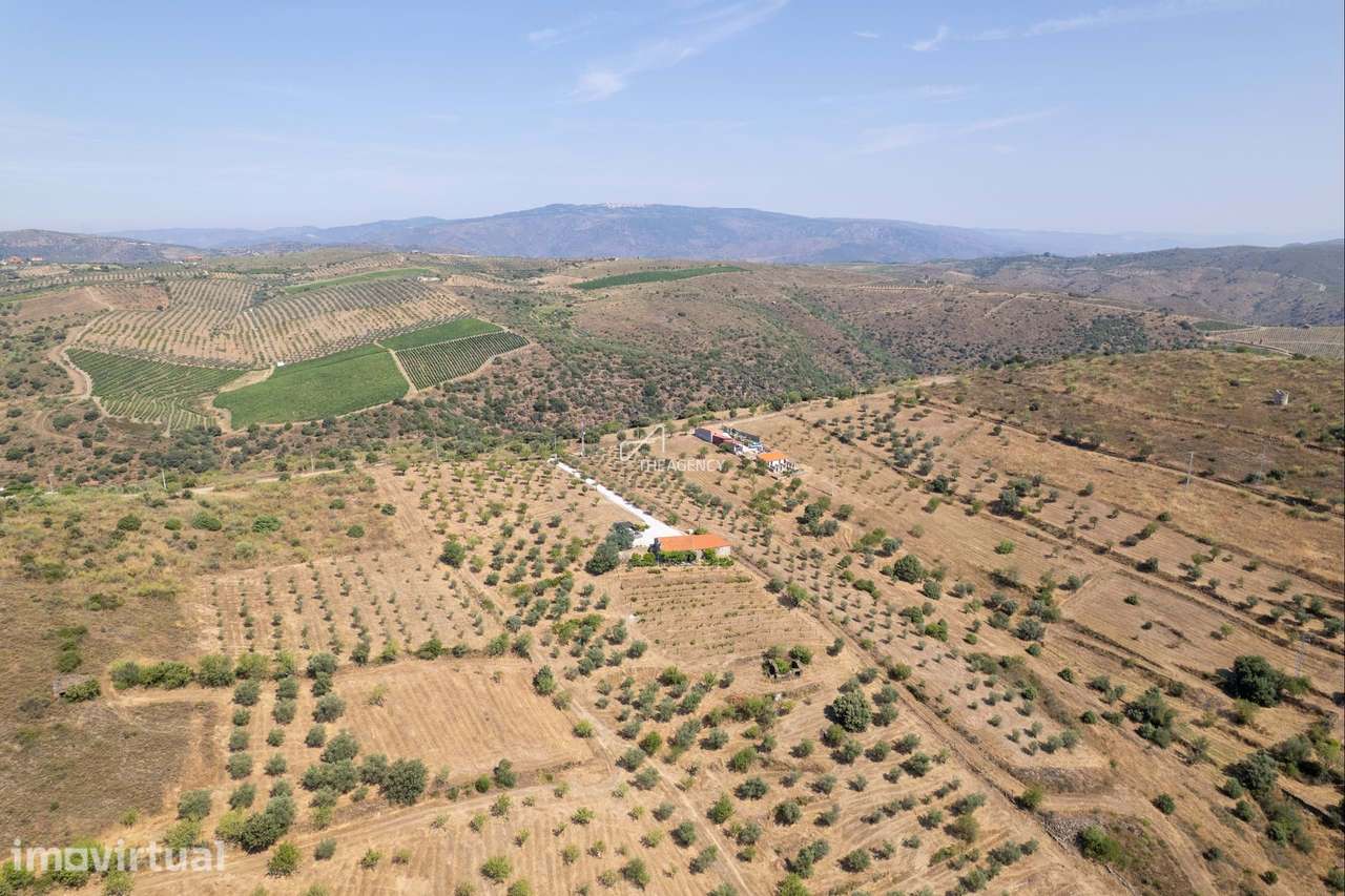Investimento Exclusivo de Luxo Ecológico: Reserva Natural-Cultural da - Grande imagem: 5/60