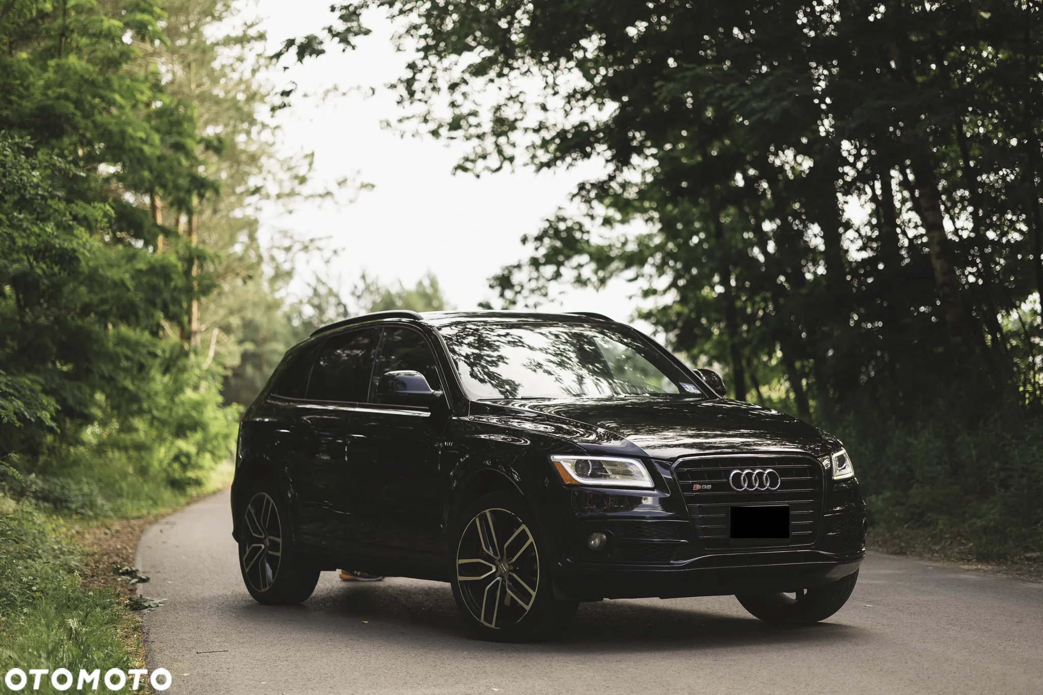 Audi SQ5 3.0 TFSI Quattro Tiptronic - 2