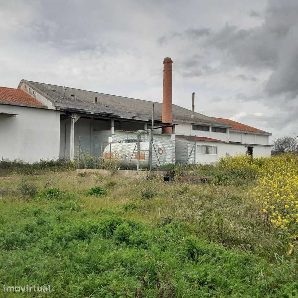 Armazém Industrial - Santarém/Alcanhões - Grande imagem: 5/19