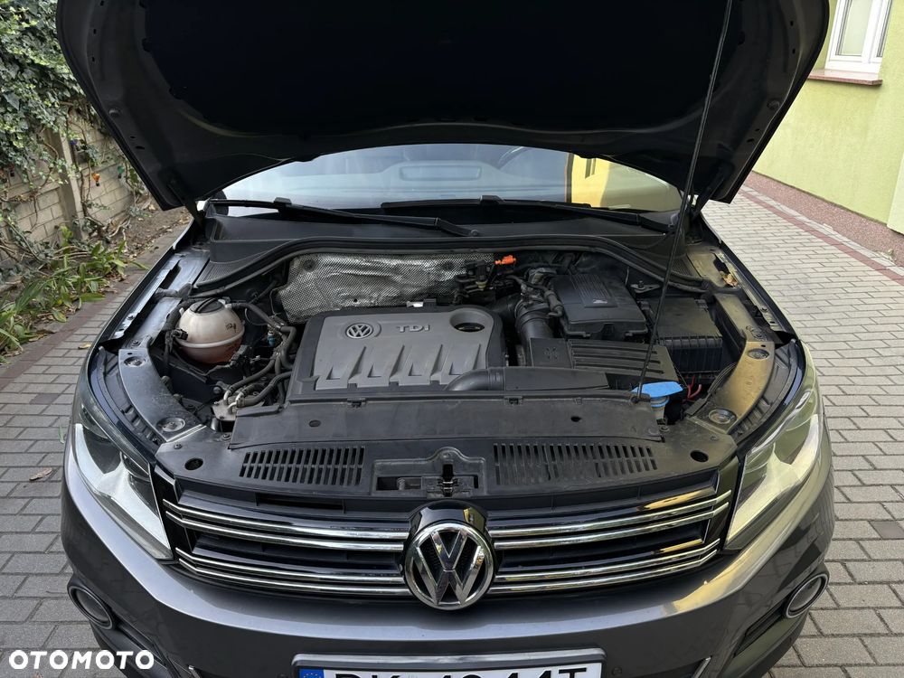 Volkswagen Tiguan - 19