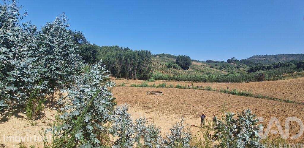 Terreno em Azueira e Sobral da Abelheira de 26562,00 m2 - Grande imagem: 4/29