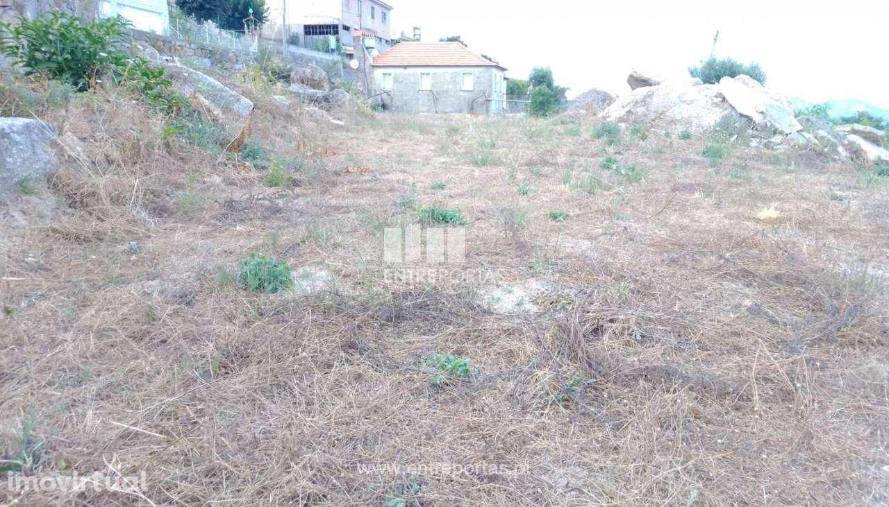 Venda Terreno, Canelas, Penafiel - Grande imagem: 5/31