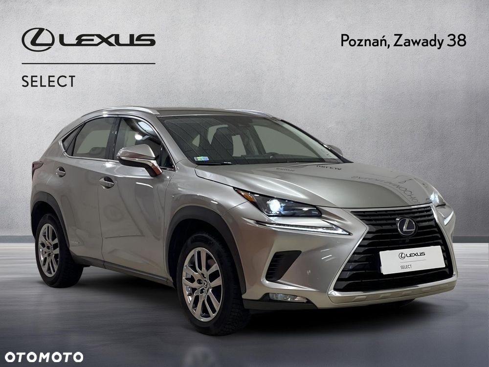 Lexus NX 300h Business Edition AWD - 8