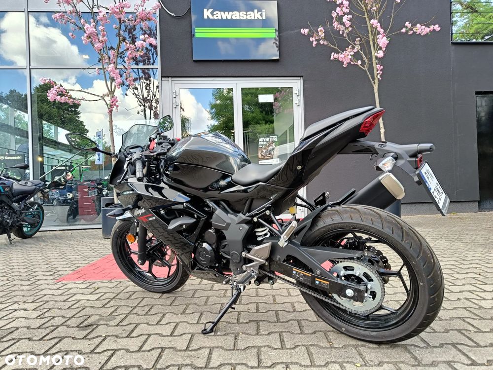 Kawasaki Ninja - 5
