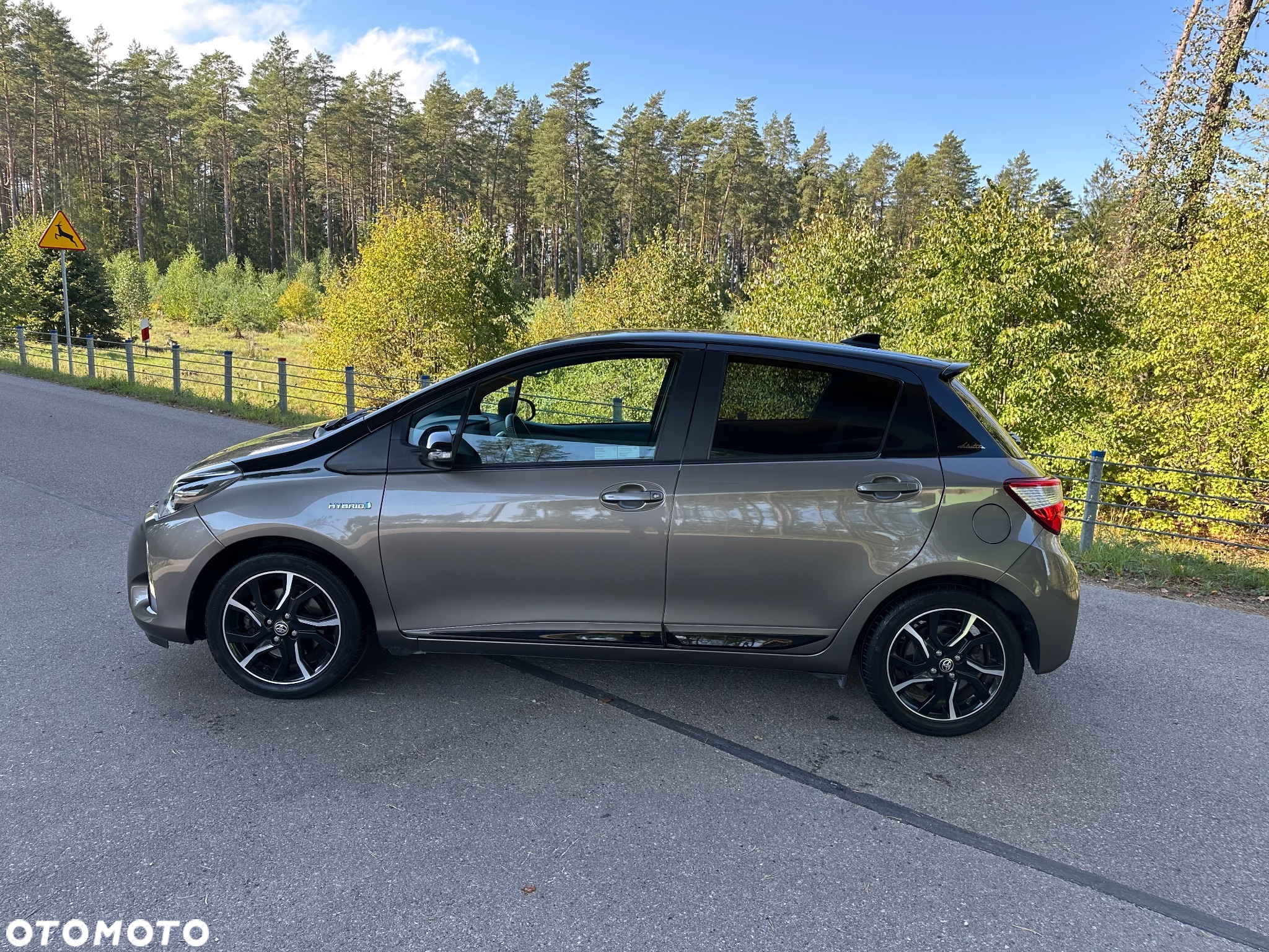 Toyota Yaris Hybrid 100 Selection Platinum - 5