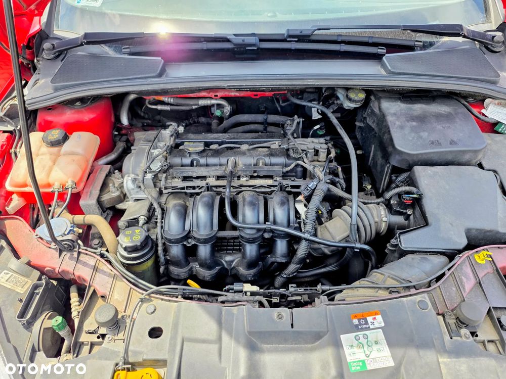 Ford Focus 1.6 Trend - 7