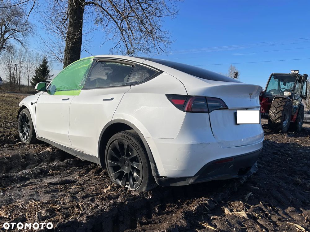 Tesla Model Y Standard - 1