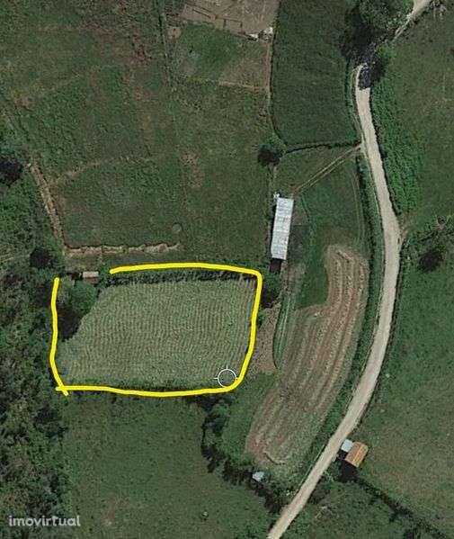 Terreno no Gove/Baião para venda - Grande imagem: 3/4