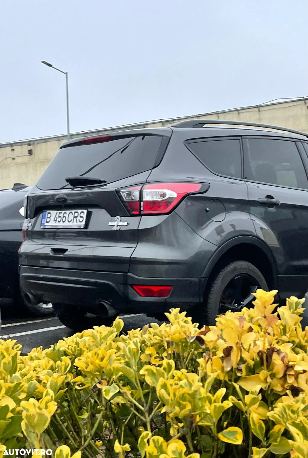 Ford Kuga 1.5 EcoBoost 4WD Aut. Titanium - 6