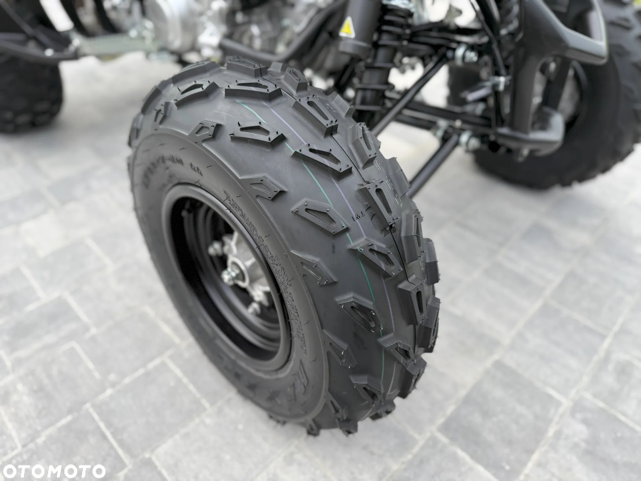 Yamaha Raptor - 27