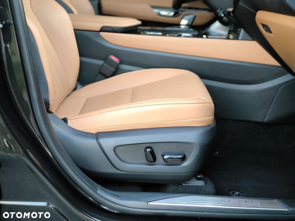 Lexus NX - 19