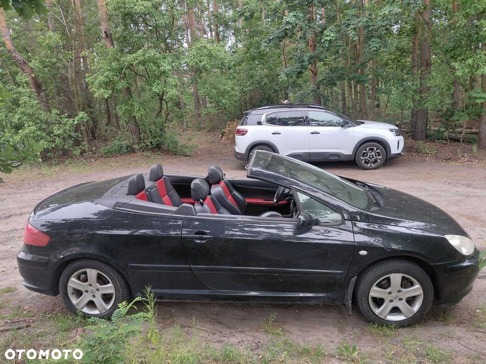 Peugeot 307 CC - 4