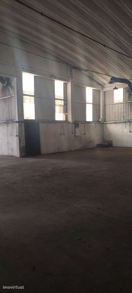 Armazém para arrendar em Rio de Mouro / Albarraque / Sintra - Grande imagem: 3/15