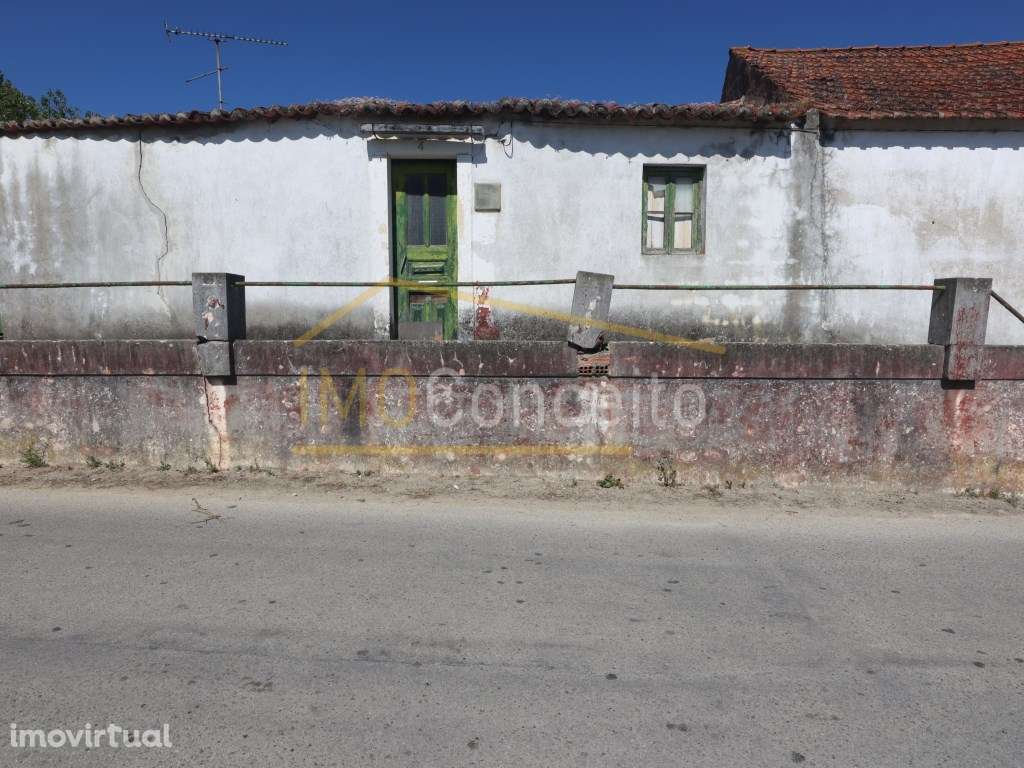 Moradia T1+1 | Mata em Torres Novas - Espaço Exterior | Garagem Fec... - Grande imagem: 2/30