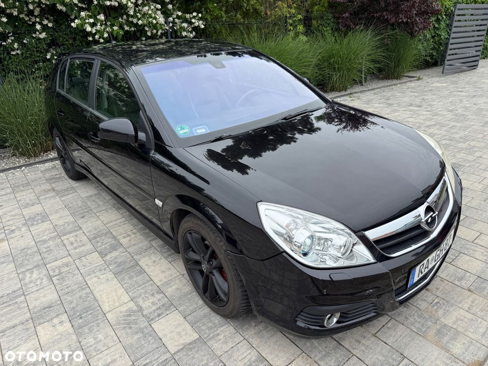 Opel Signum - 27