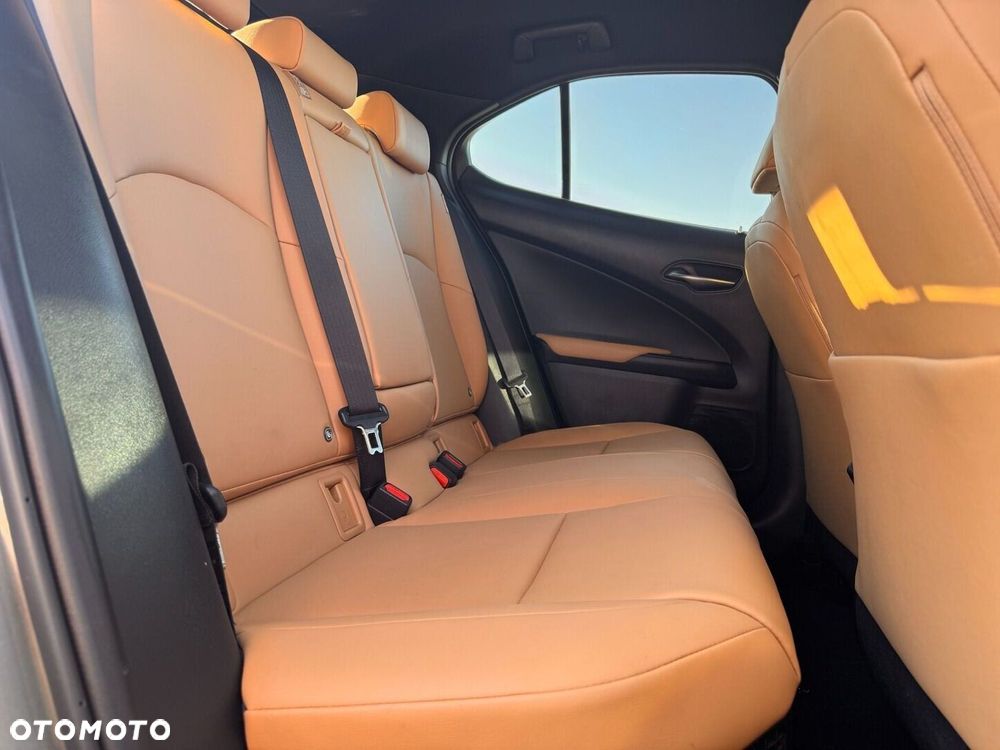 Lexus UX 250h GPF F Sport Design 2WD - 12