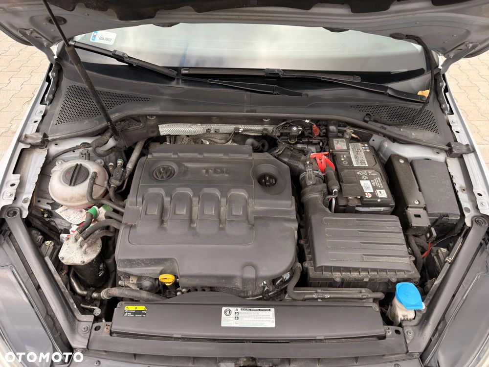 Volkswagen Golf - 37