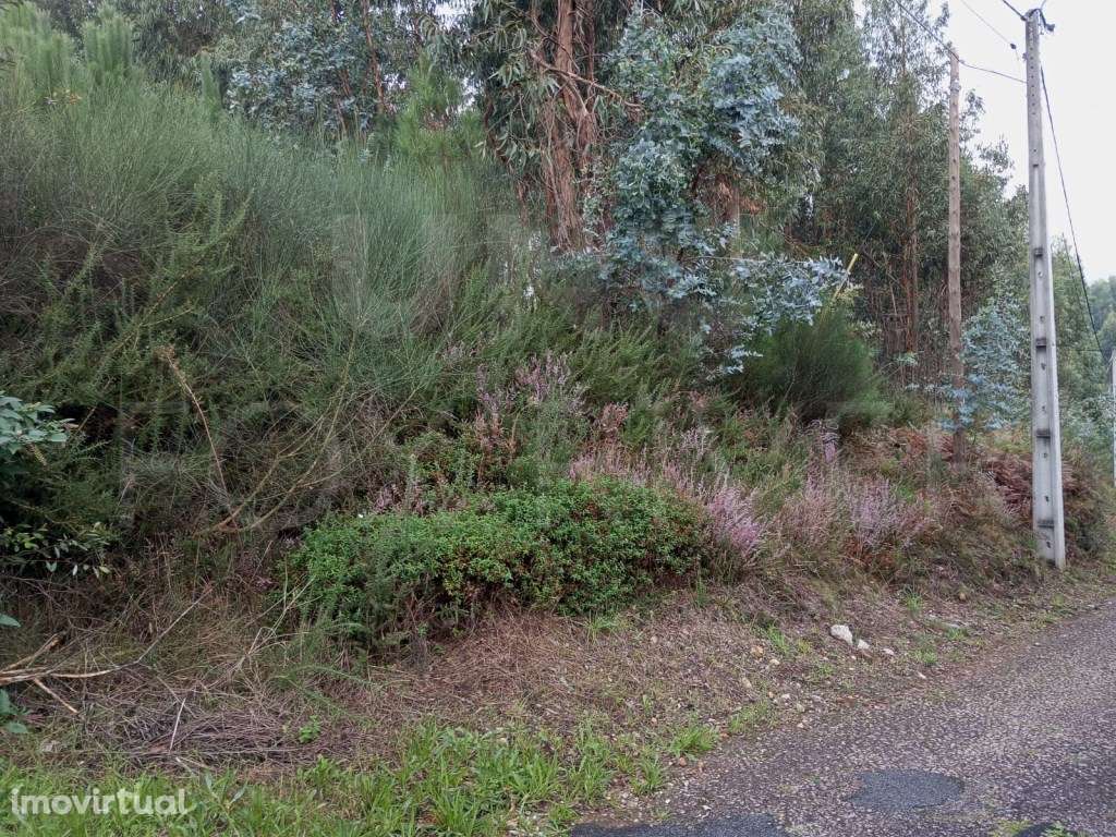 Terreno para construção Bela, Monção - Grande imagem: 2/10