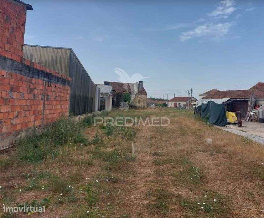 Moradia em Ruínas c/ 144m2 - Oiã - Grande imagem: 4/8