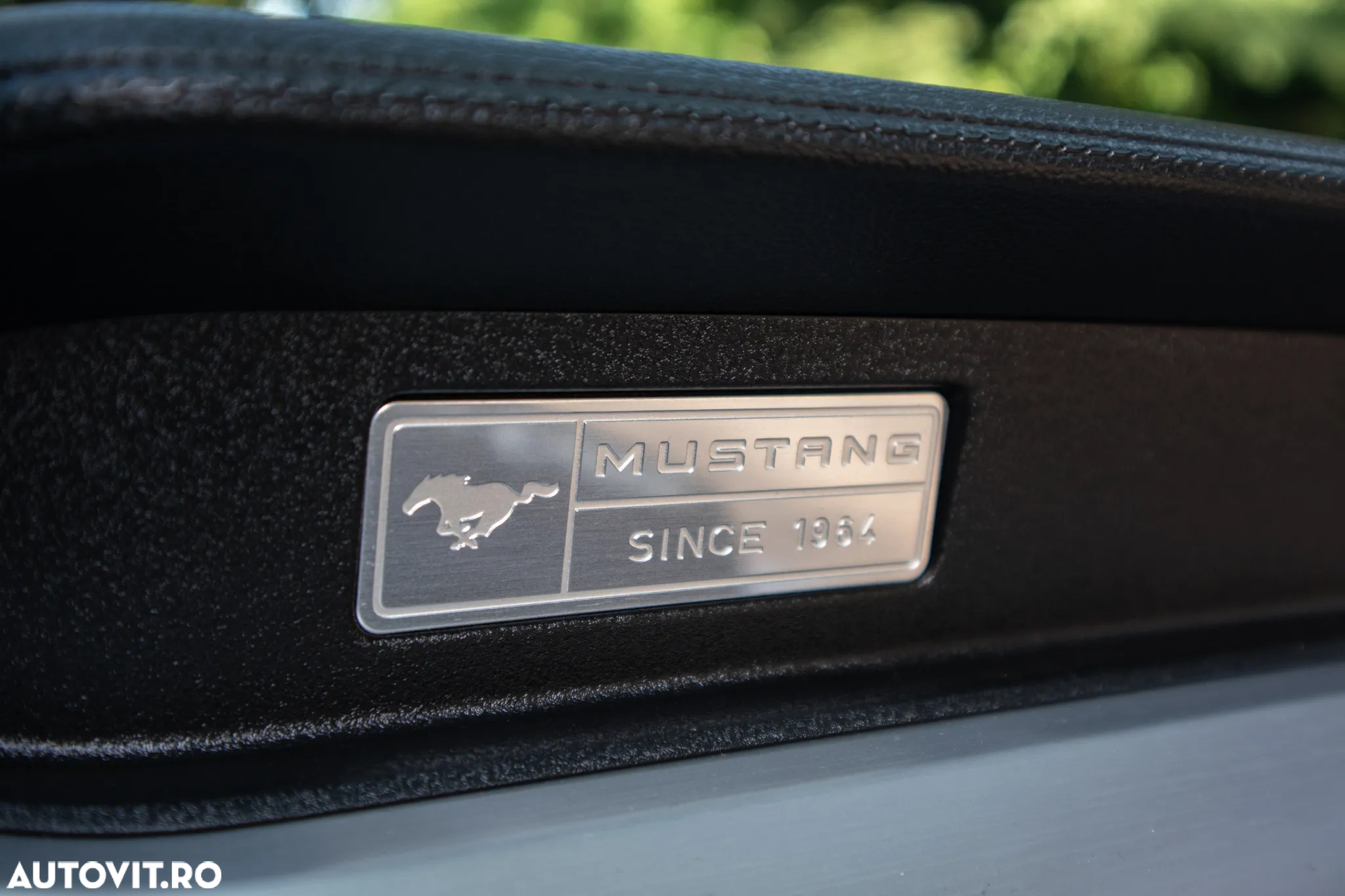 Ford Mustang Cabrio 2.3 Eco Boost - 14