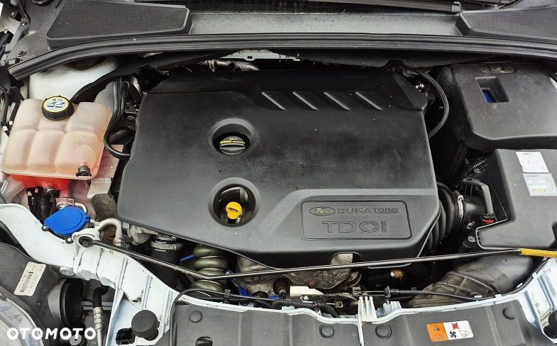 Ford Focus 1.6 TDCi DPF Start-Stopp-System Champions Edition - 20