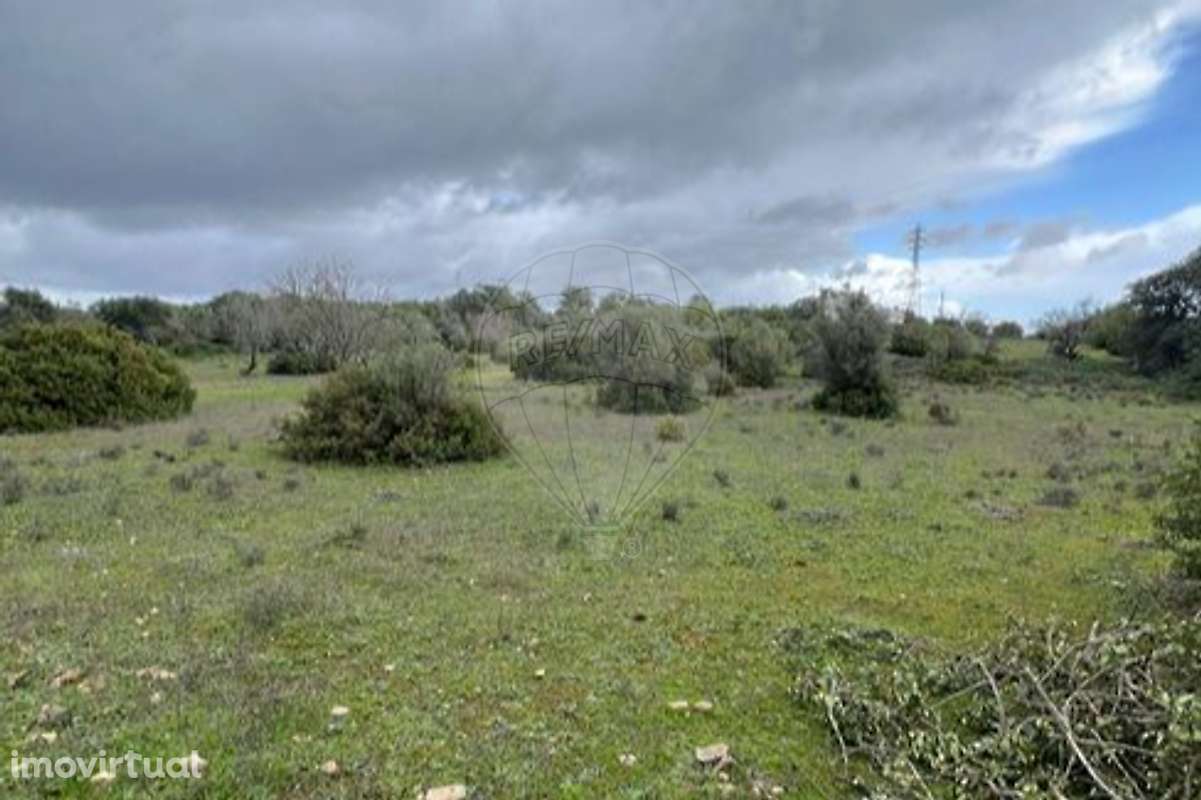 Terreno  para venda - Grande imagem: 2/9