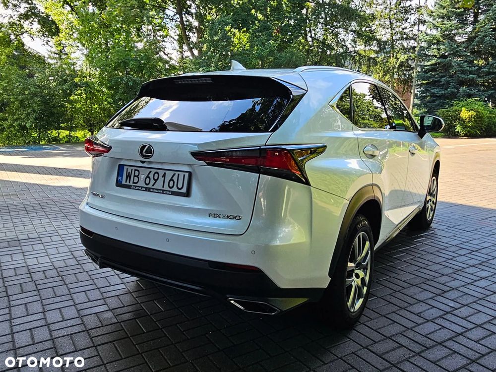 Lexus NX - 6