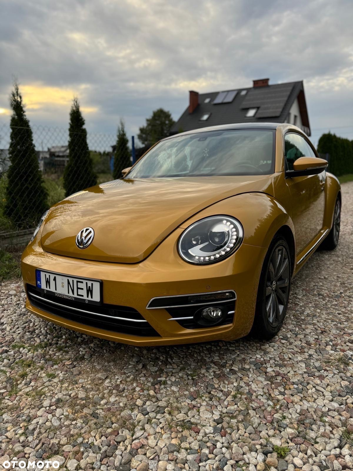 Volkswagen Beetle - 5