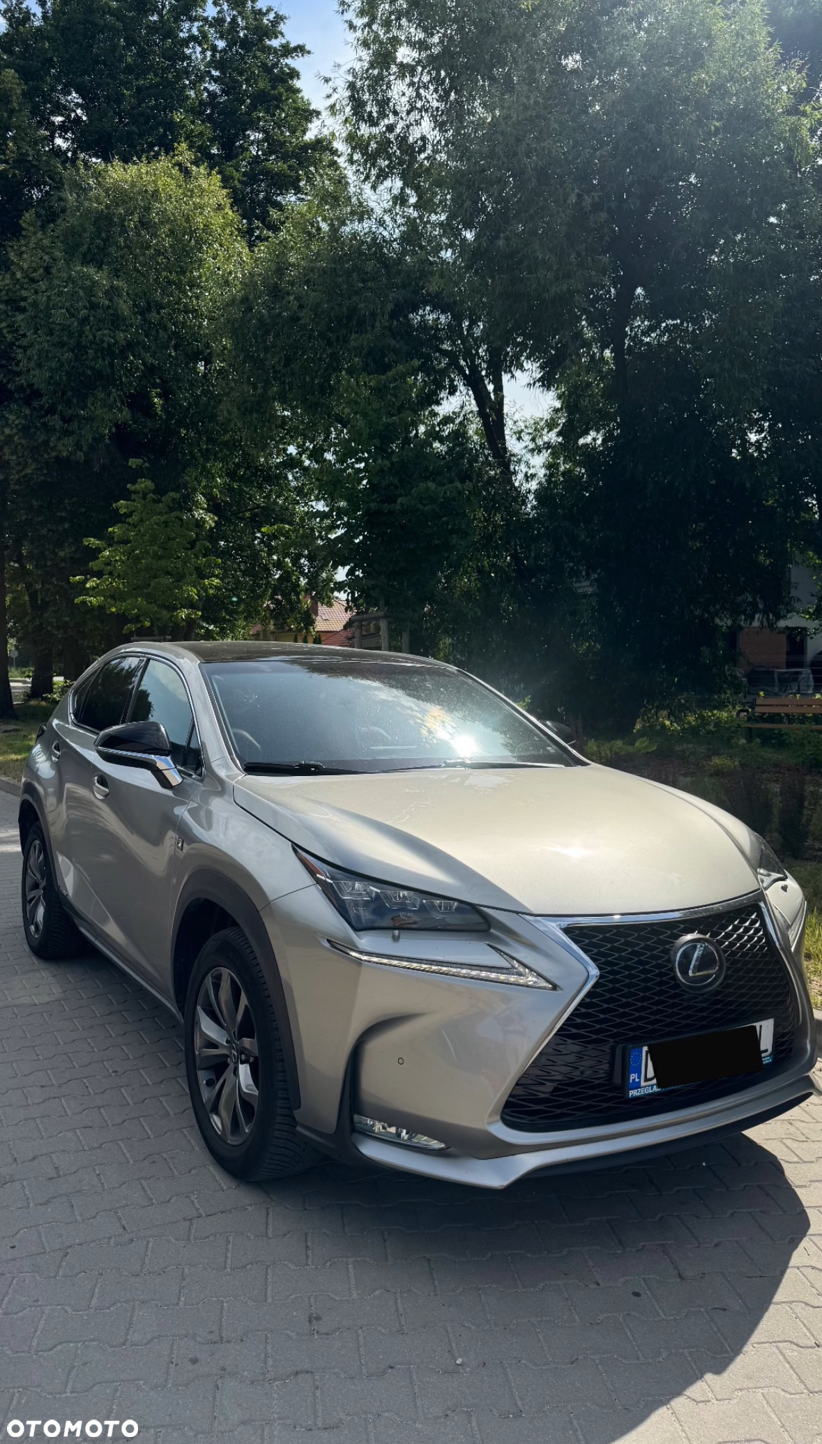 Lexus NX 300h F Sport AWD - 3