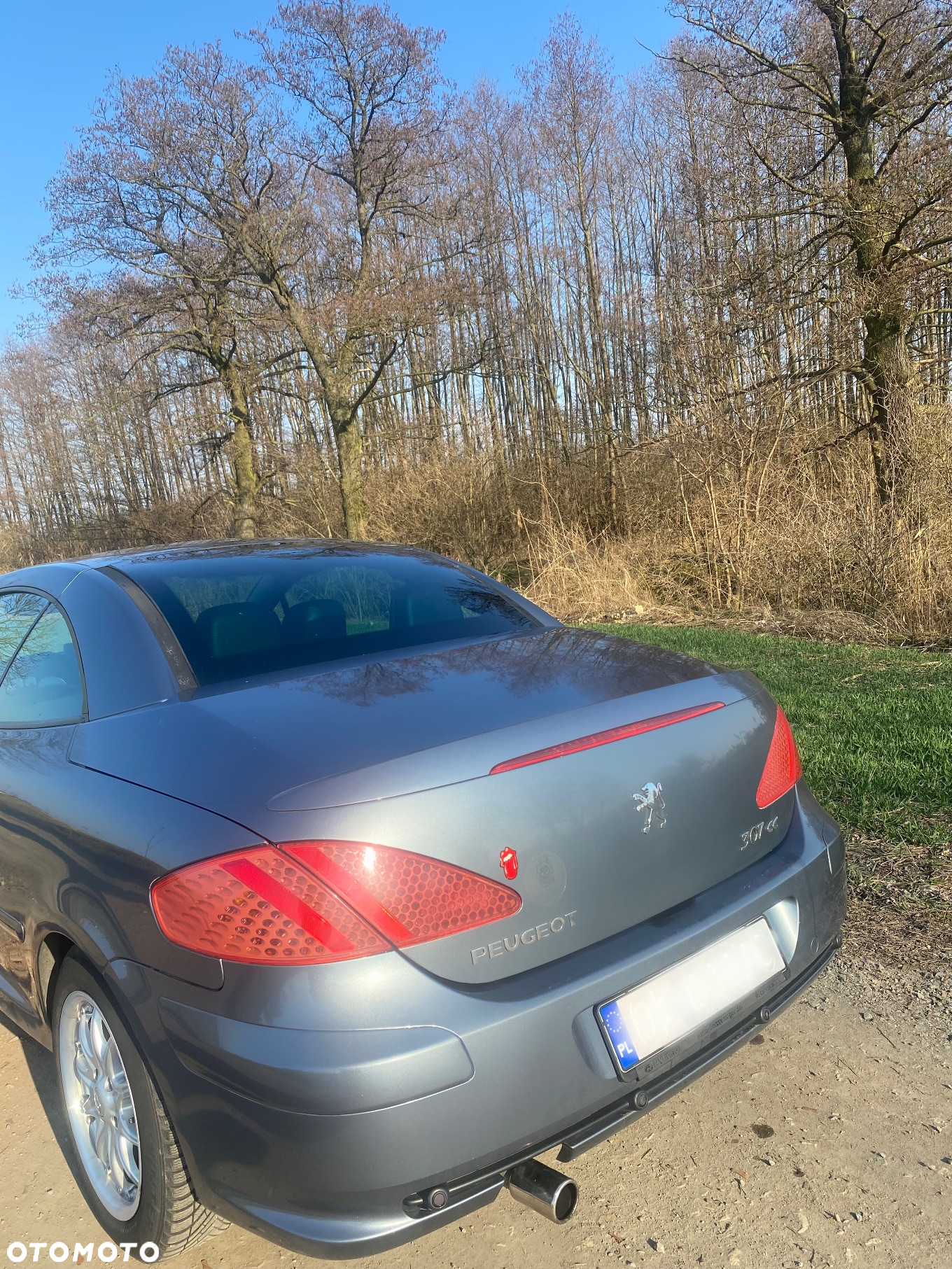 Peugeot 307 CC 2.0 - 3