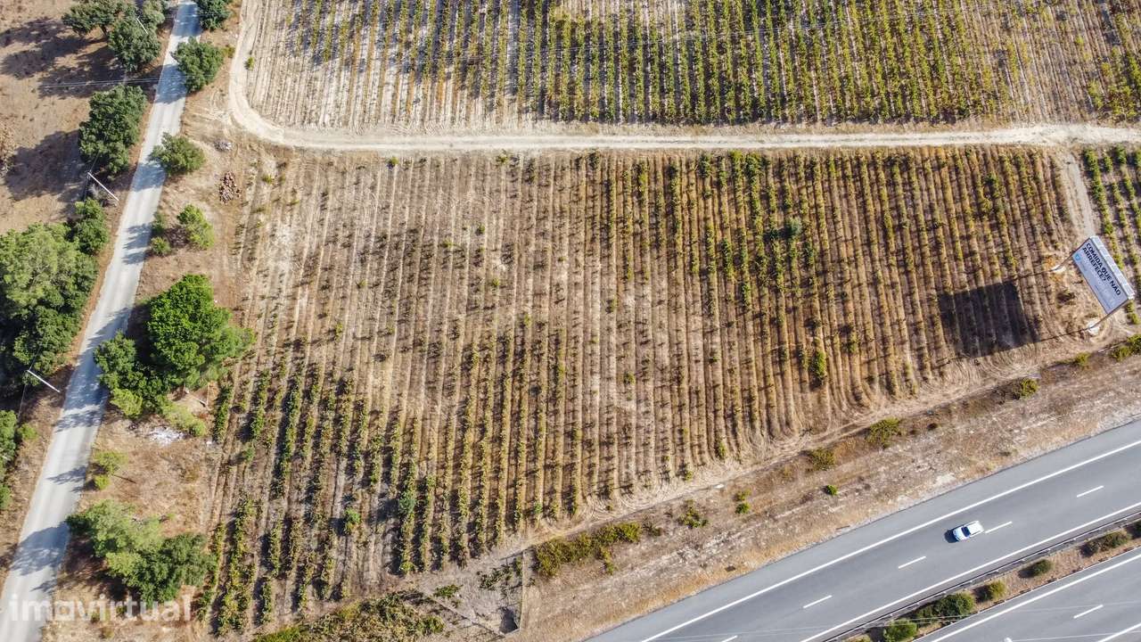Terreno Rústico com PIP Favorável para Construção de Moradia – Cajados - Grande imagem: 2/13