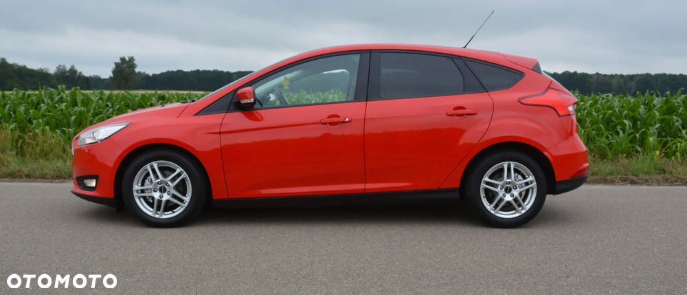 Ford Focus - 3