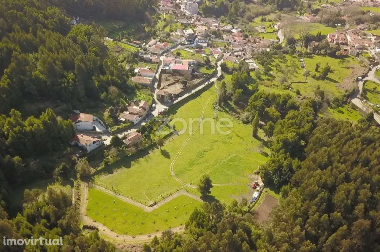 1,5ha, vistas mar, S W, para lotear, poço mina, Negrelos Canelas Gaia - Grande imagem: 2/29