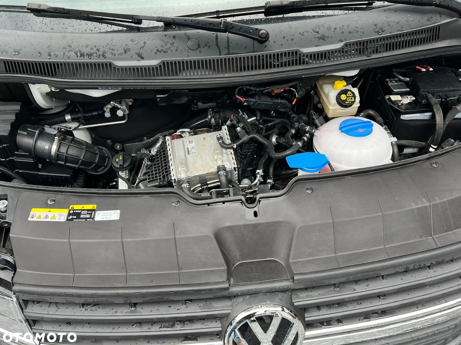 Volkswagen Transporter - 19