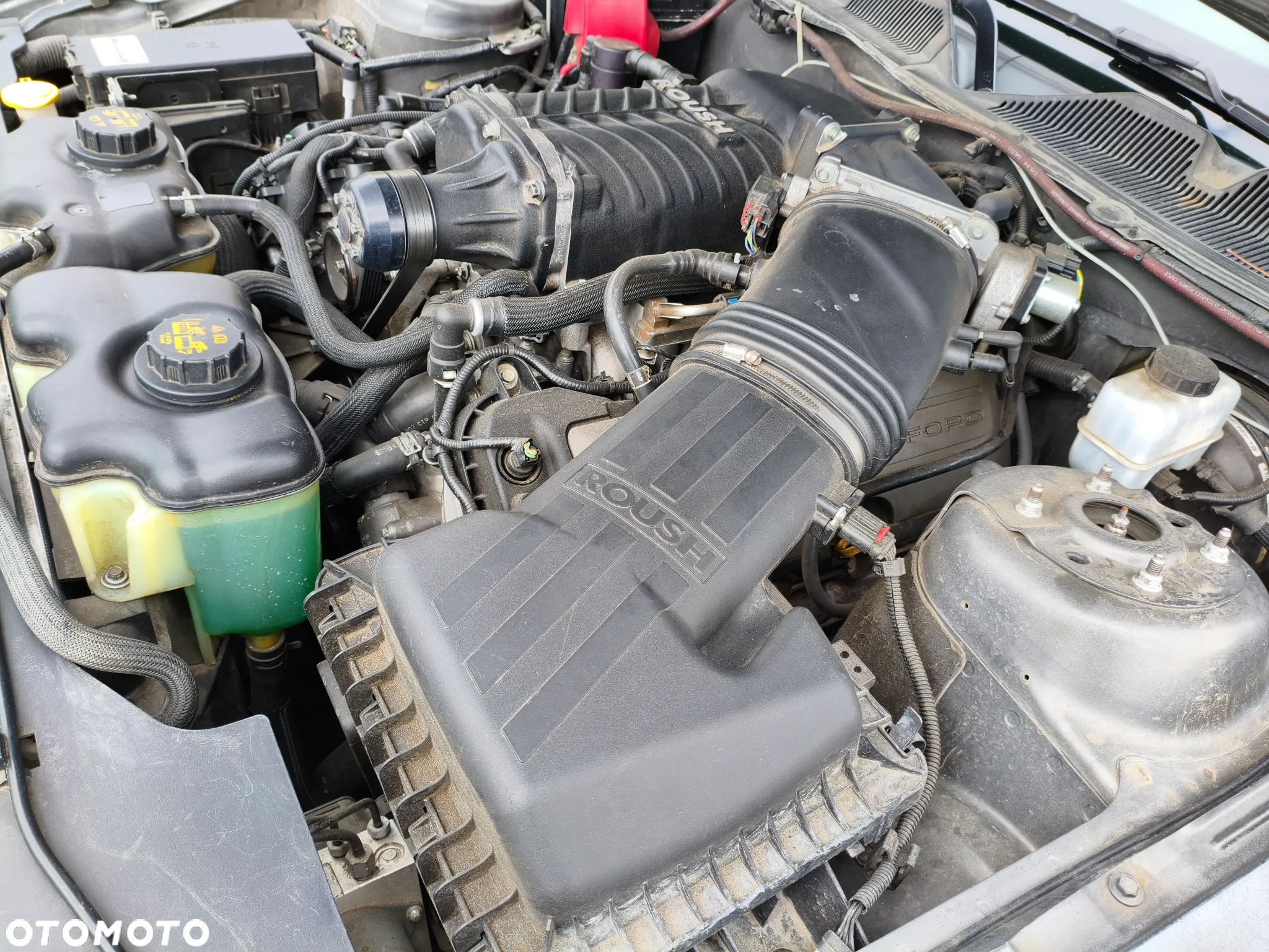 Ford Mustang 5.0 V8 GT Premium - 18