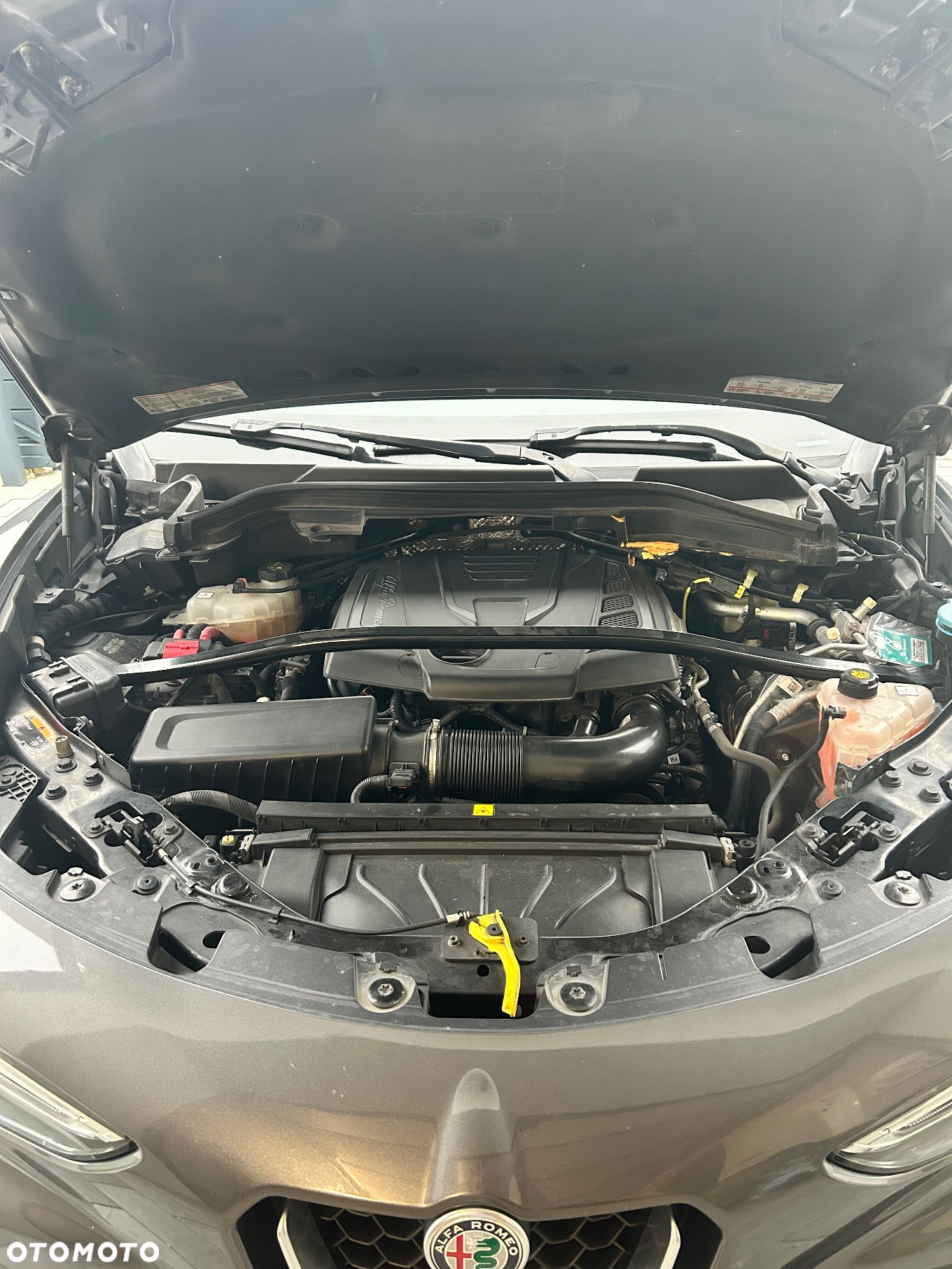 Alfa Romeo Stelvio 2.0 Turbo Business Q4 - 5