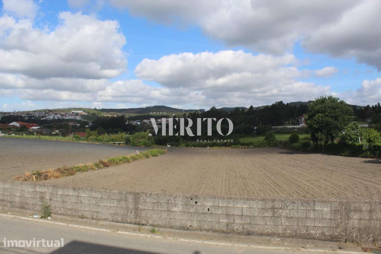 Venda Terreno 7000m2 - Ribeirão, Vila Nova de Famalicão - Grande imagem: 3/15