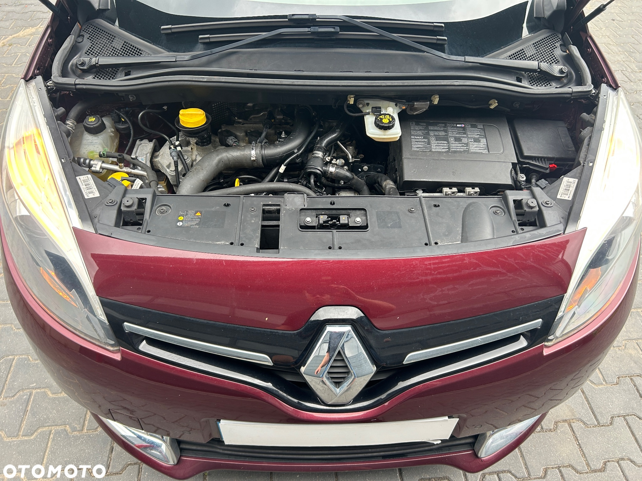 Renault Scenic 1.2 TCe Energy Limited - 12