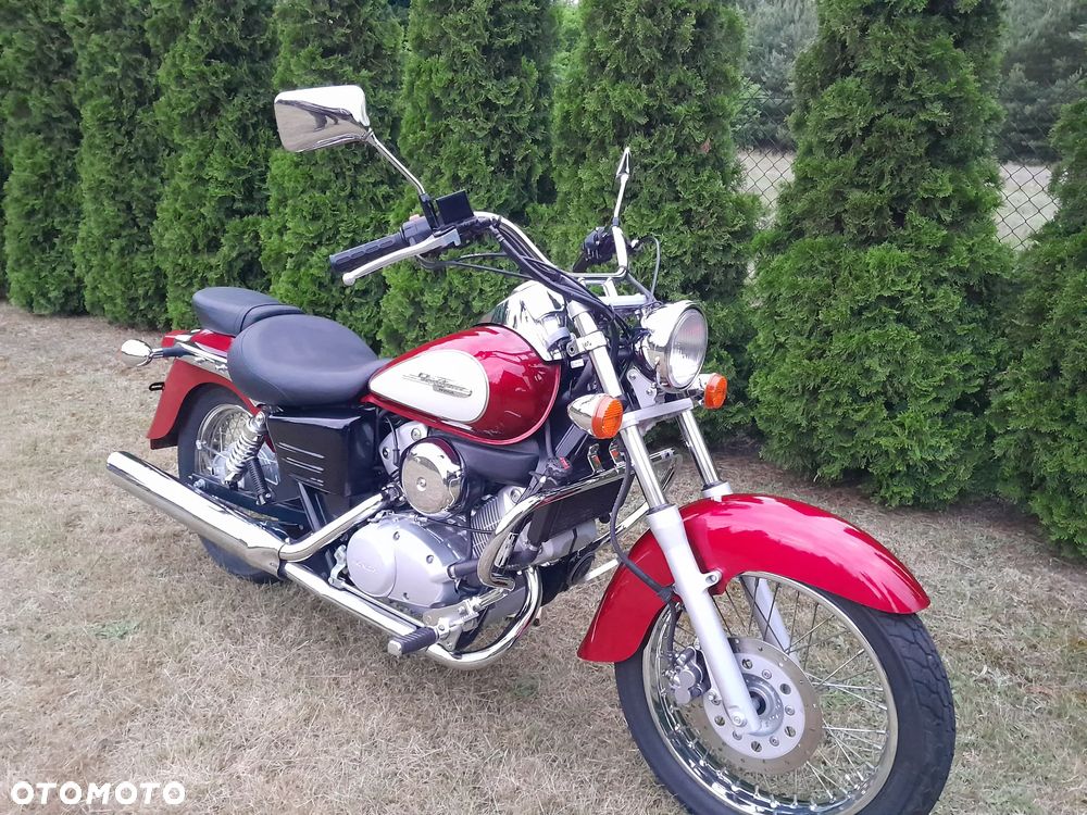 Honda Shadow - 5