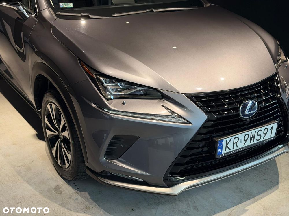 Lexus NX - 3