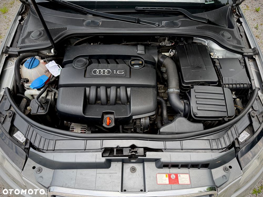 Audi A3 3-drzwiowe 1.6 S tronic Ambiente - 16