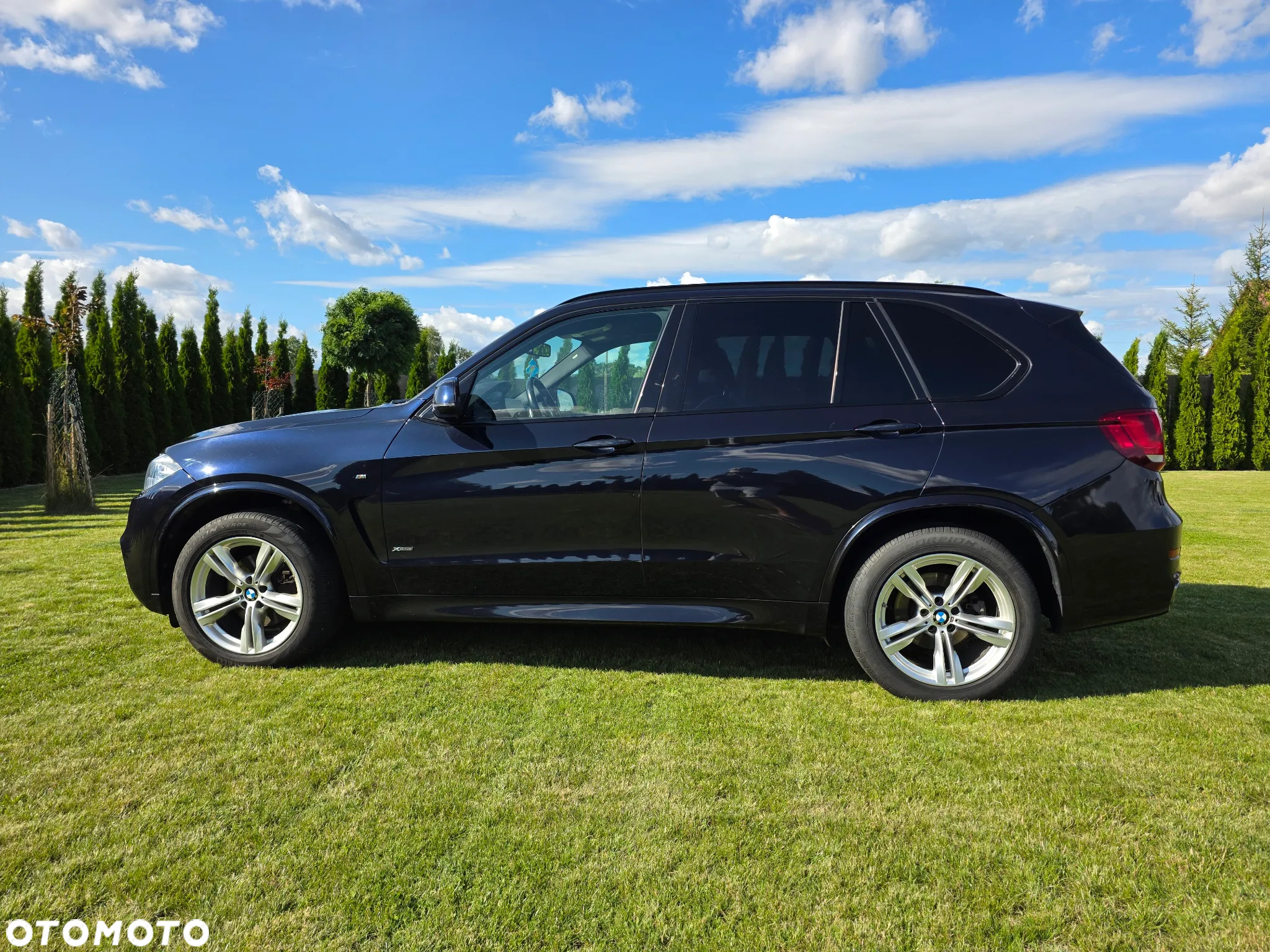 BMW X5 xDrive25d - 5