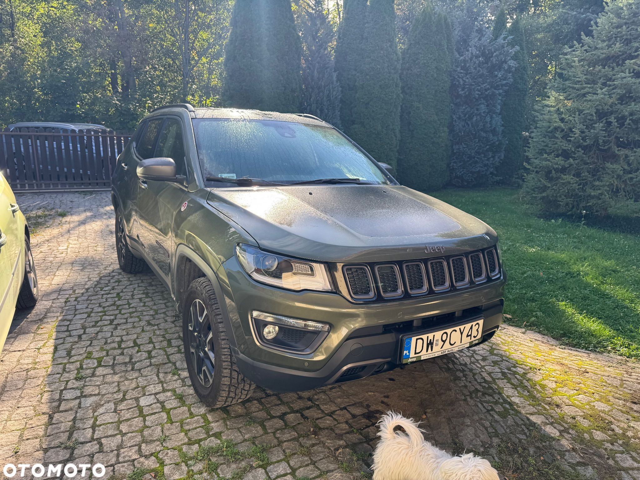 Jeep Compass 2.0 MJD Trailhawk 4WD S&S - 1