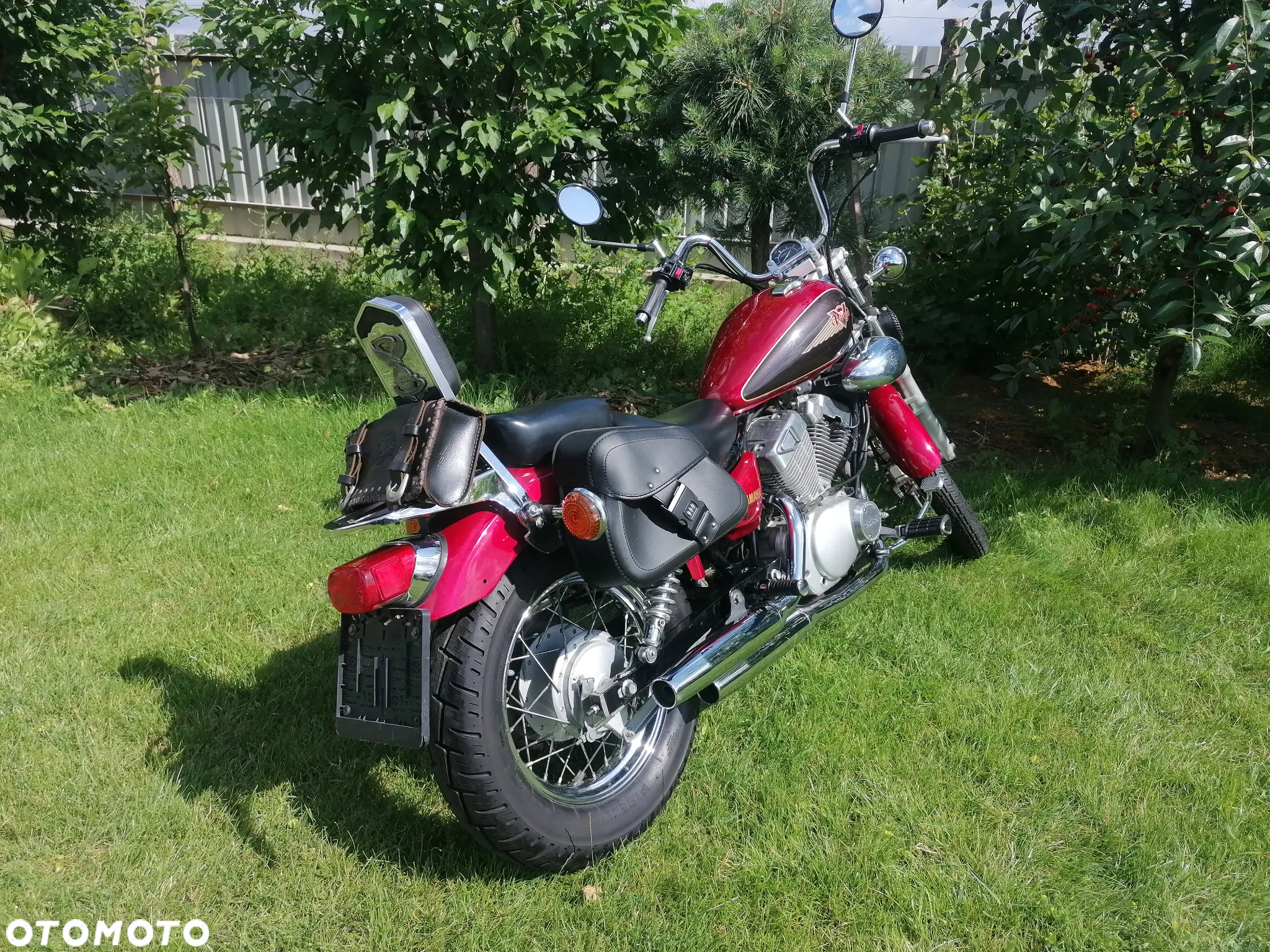Yamaha Virago - 6
