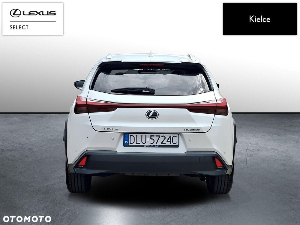 Lexus UX 250h GPF Business 2WD - 5