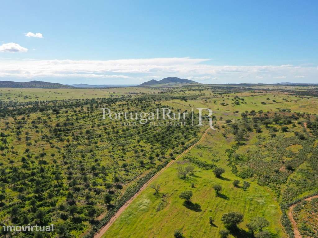 Herdades de Caça com 1300 Hectares, junto do rio Guadiana - Grande imagem: 5/60