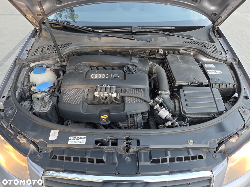 Audi A3 3-drzwiowe 1.6 S Line Sportpaket plus - 13