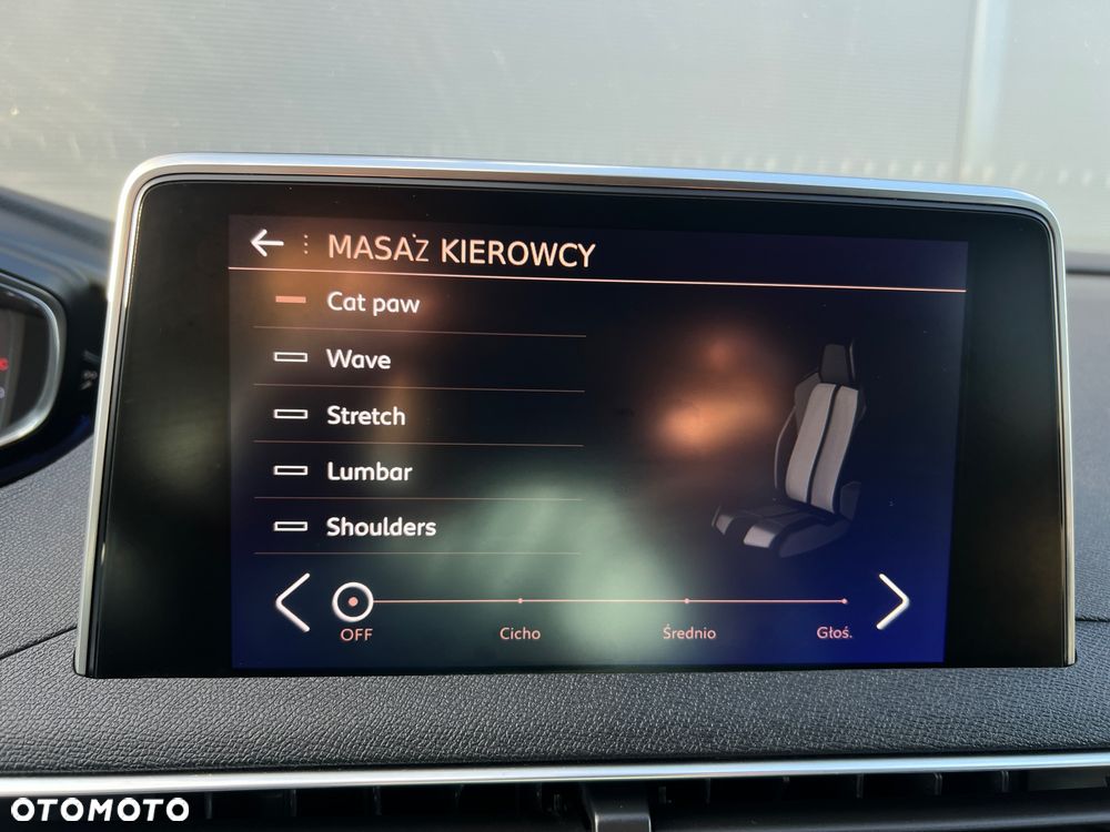 Peugeot 3008 - 29
